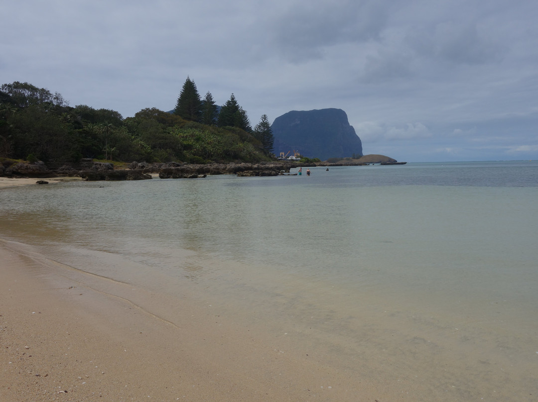 Old Settlement Beach-豪勋爵群岛必去景点