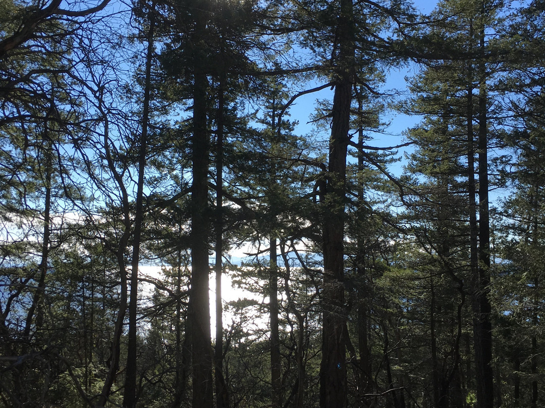 Wildflower Cottages主图