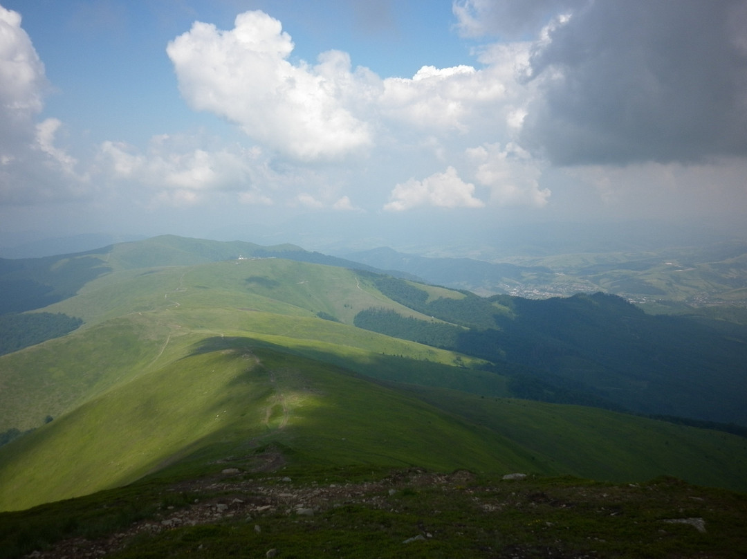 Polonina Borzhava景点图片