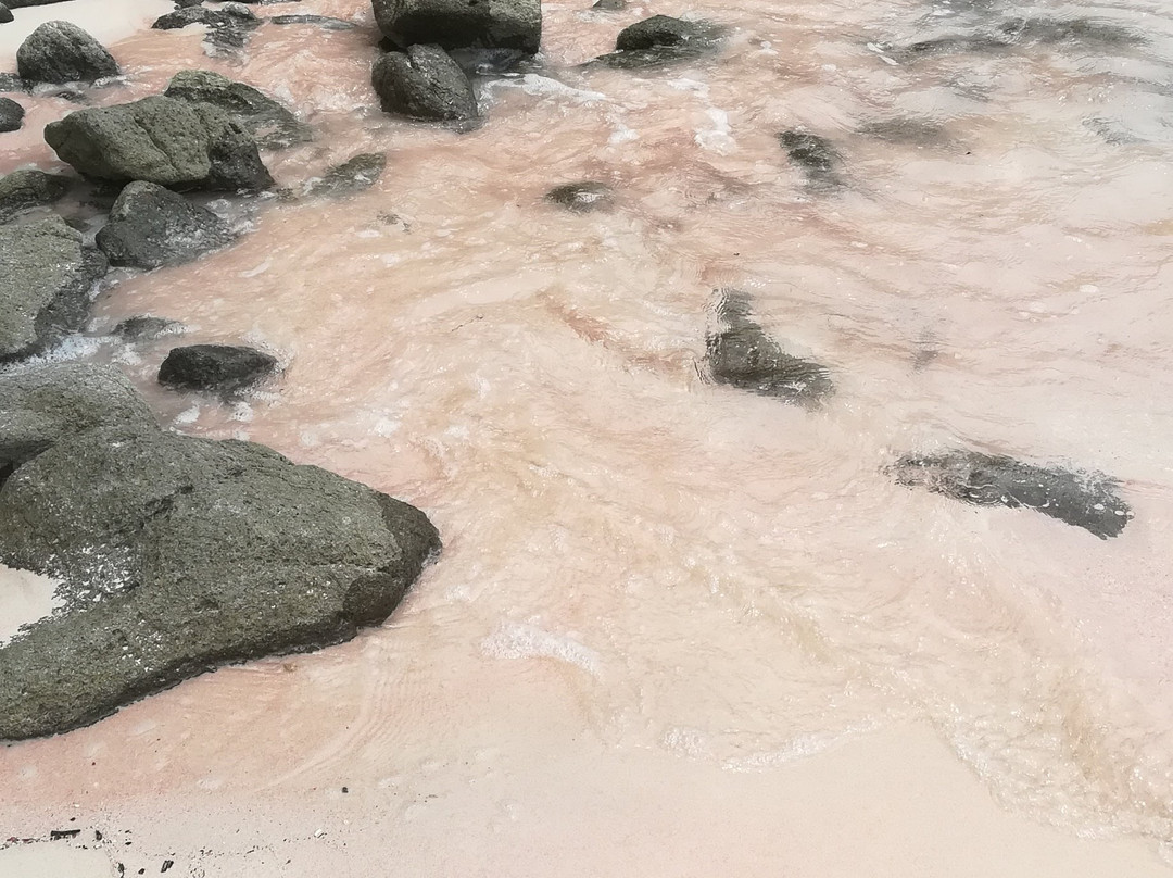 Pink Beach-科莫多必去景点