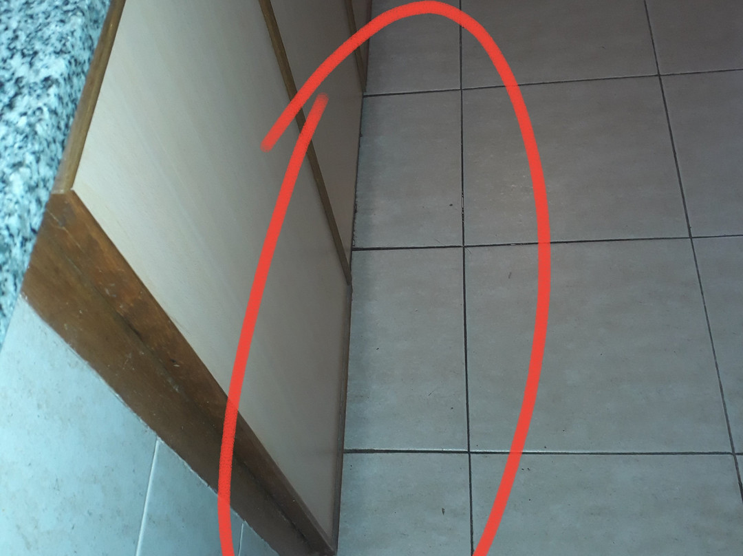 Complejo Coovaeco主图