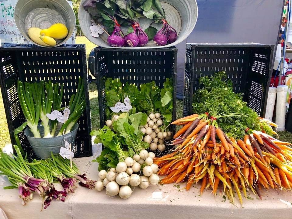 Boca Grande Farm & Fish Market-Boca Grande必去景点