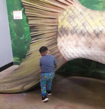 Children's Museum of Stockton-斯托克顿必去景点