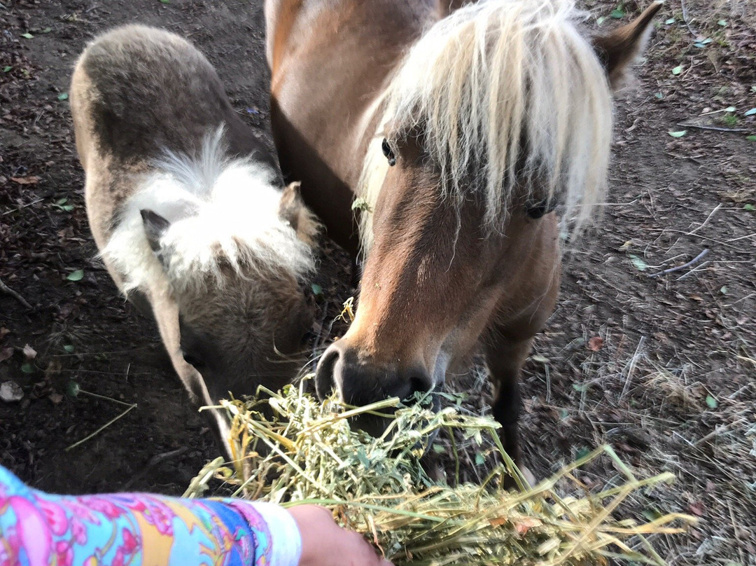 Emerald Ridge Bed & Breakfast主图