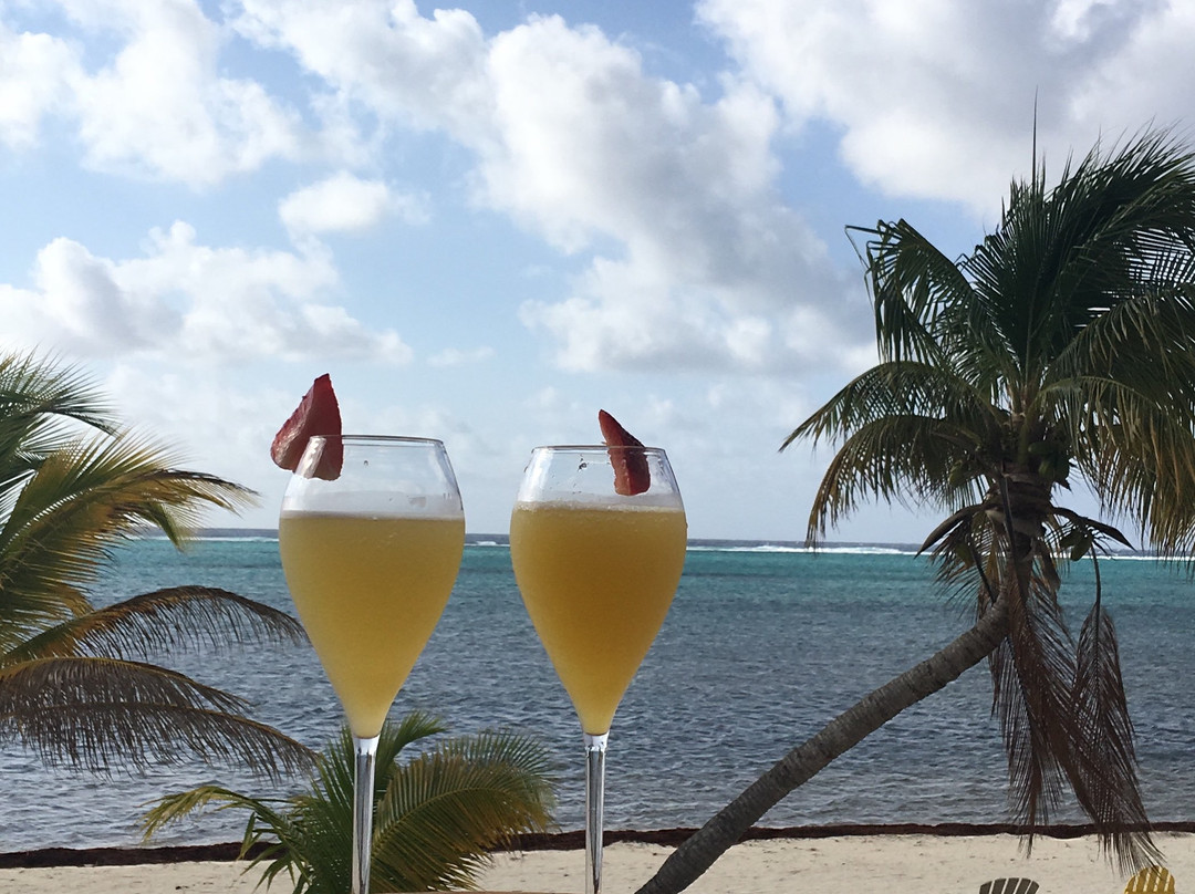 Southern Cross Club主图