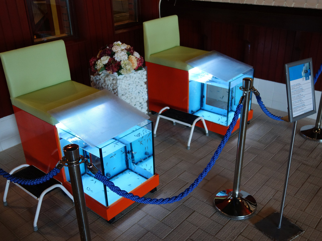 Danubius Hotel Bük主图