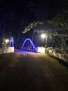 乌龟海滩阿瓦德酒店主图