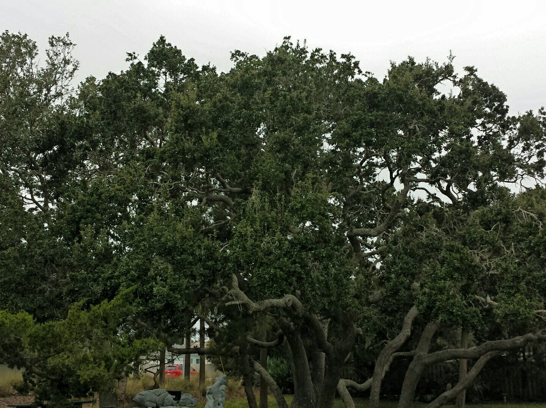 Lakeside Park景点图片