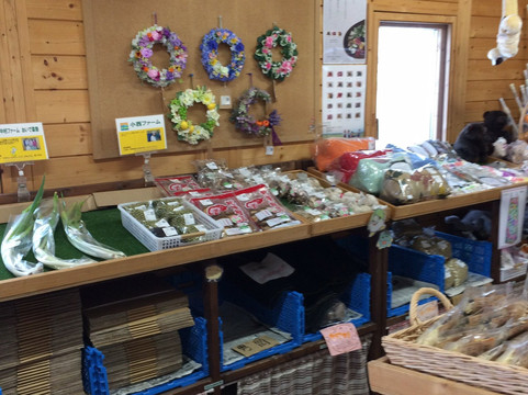 Antenna Shop Pipa-美呗市必去景点