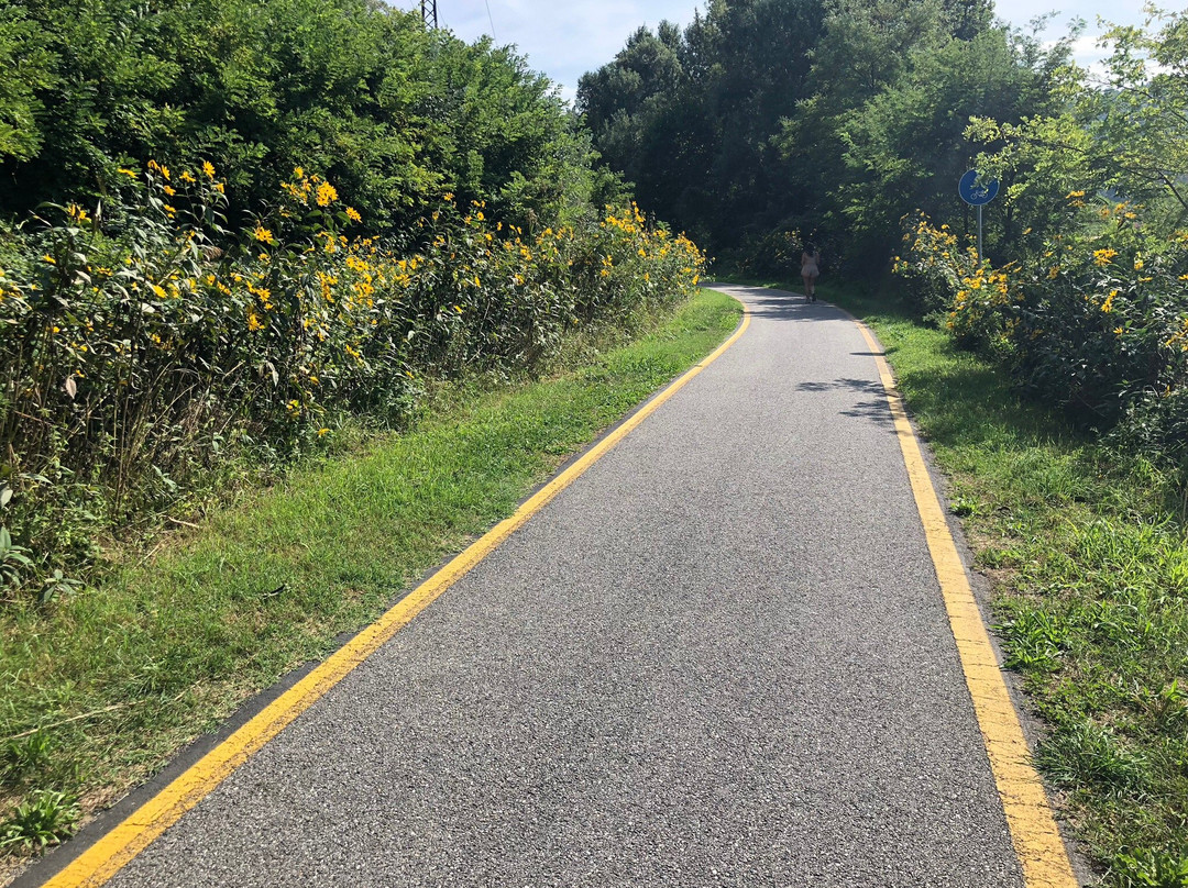 Pista Ciclo-Pedonale Cittiglio - Laveno Mombello景点图片