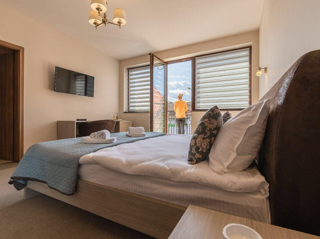 Pensiunea Select Central主图