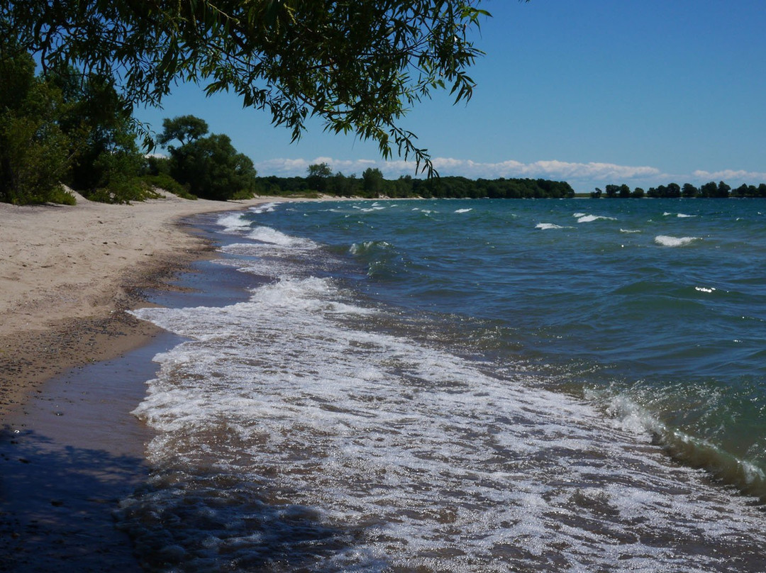 Big Sandy Bay Conservation Area景点图片