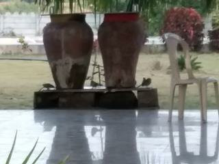 Shreeji Farm