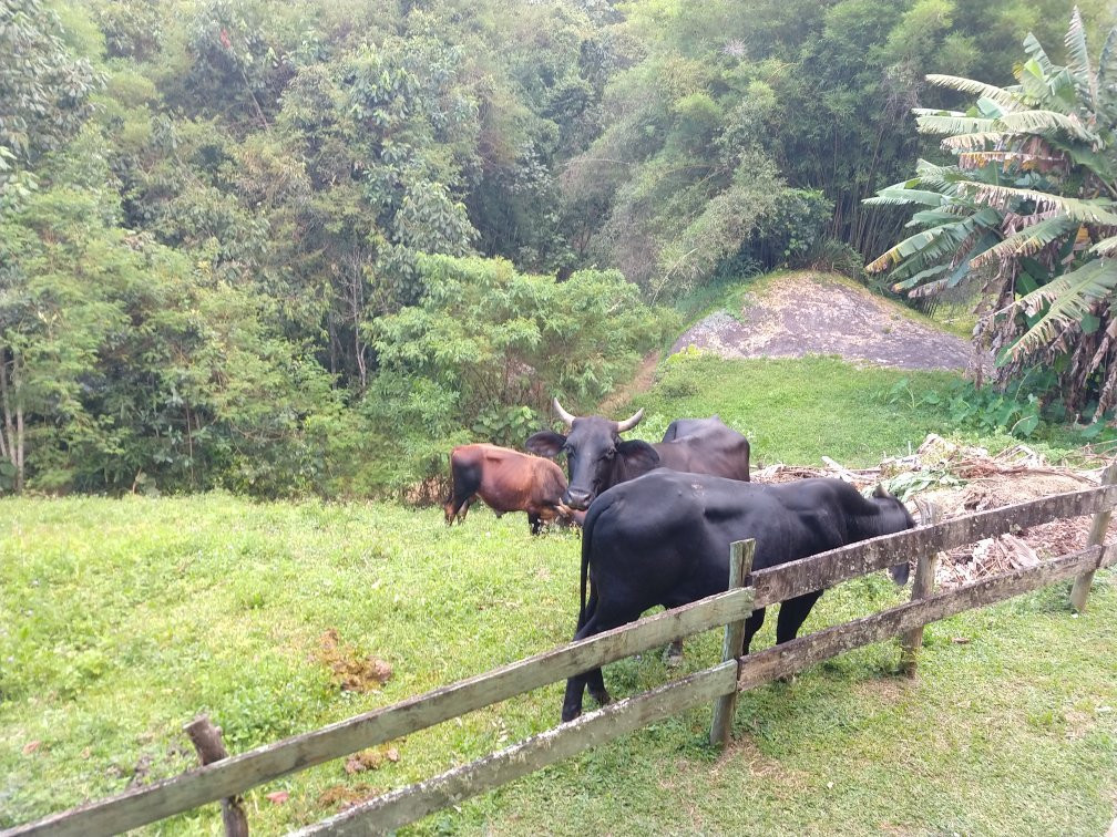 Pousada do Mirante主图