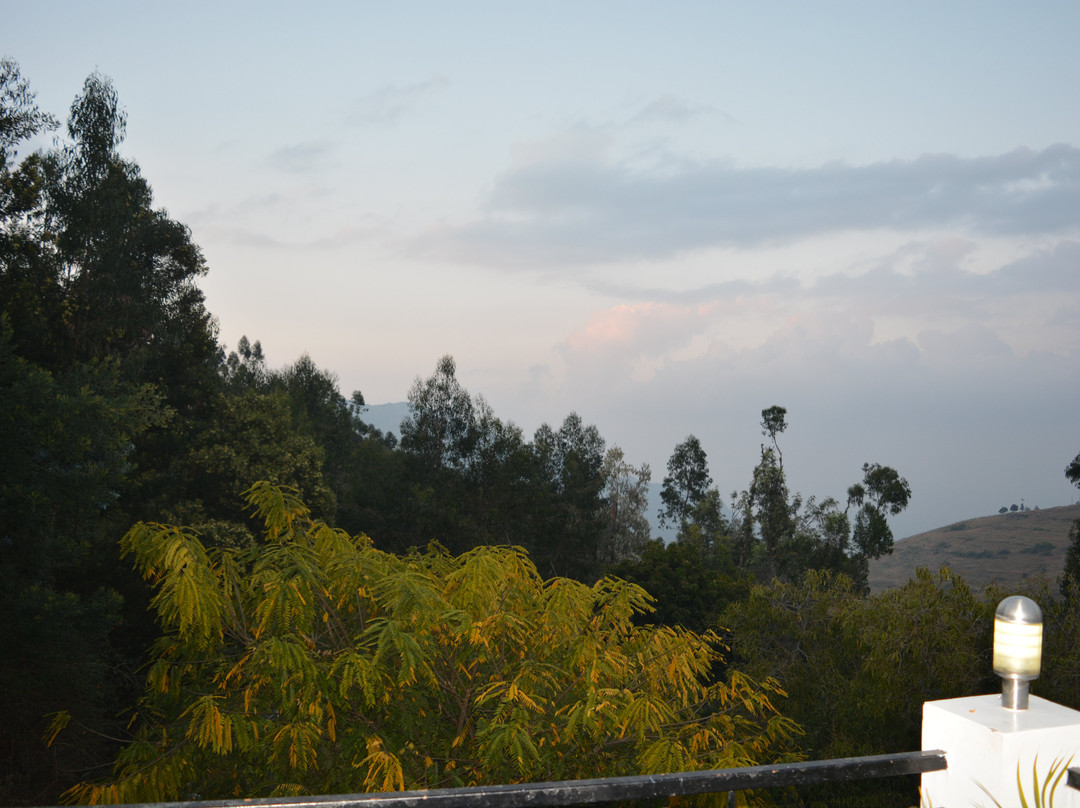 Mount 'n' Mist主图