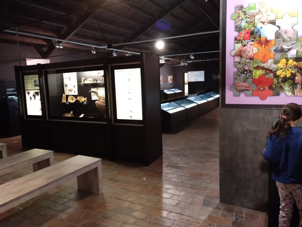 Museo de la Biodiversidad景点图片