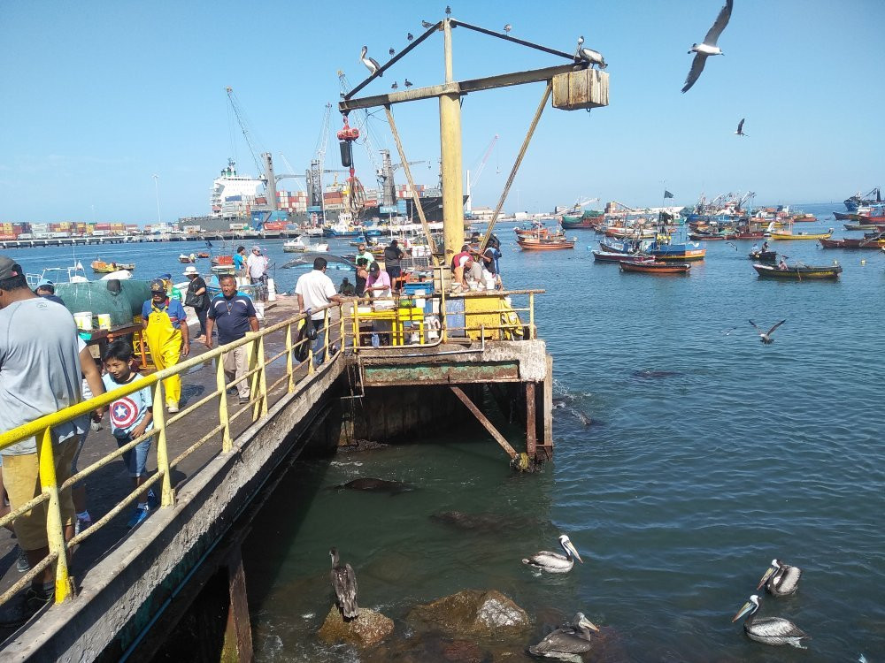 Cuidad de Arica-阿里卡必去景点