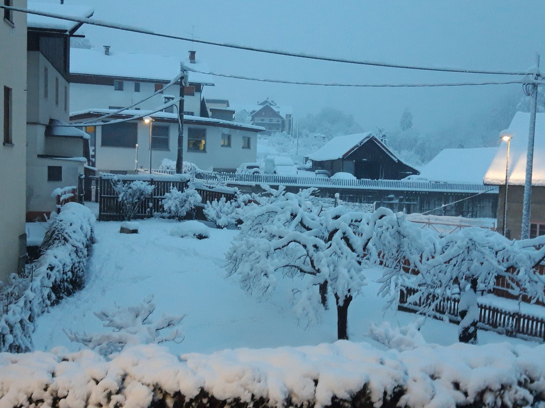 Hotel Tarvisio主图