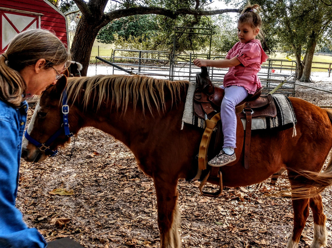 Uncle Donald's Farm-Lady Lake必去景点