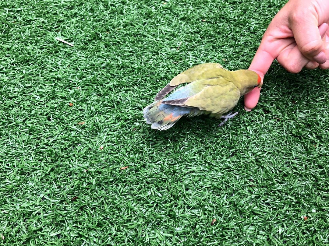 棕榈海滩度假村主图