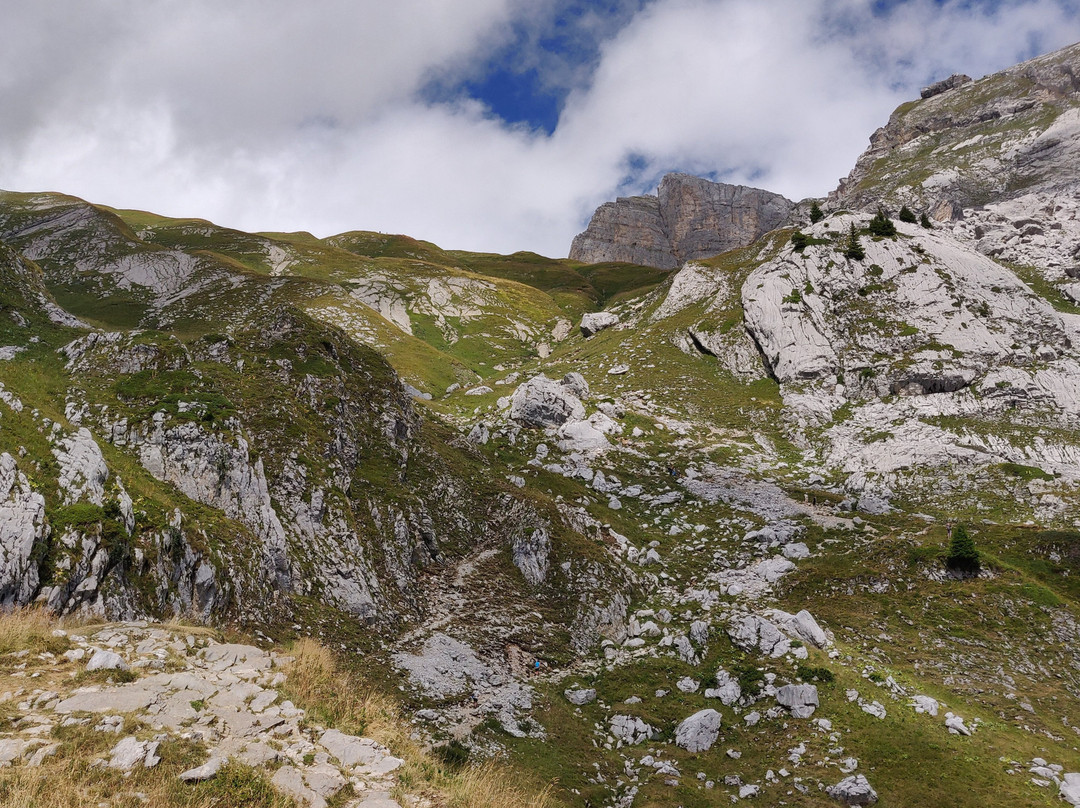 Lac de Peyre景点图片