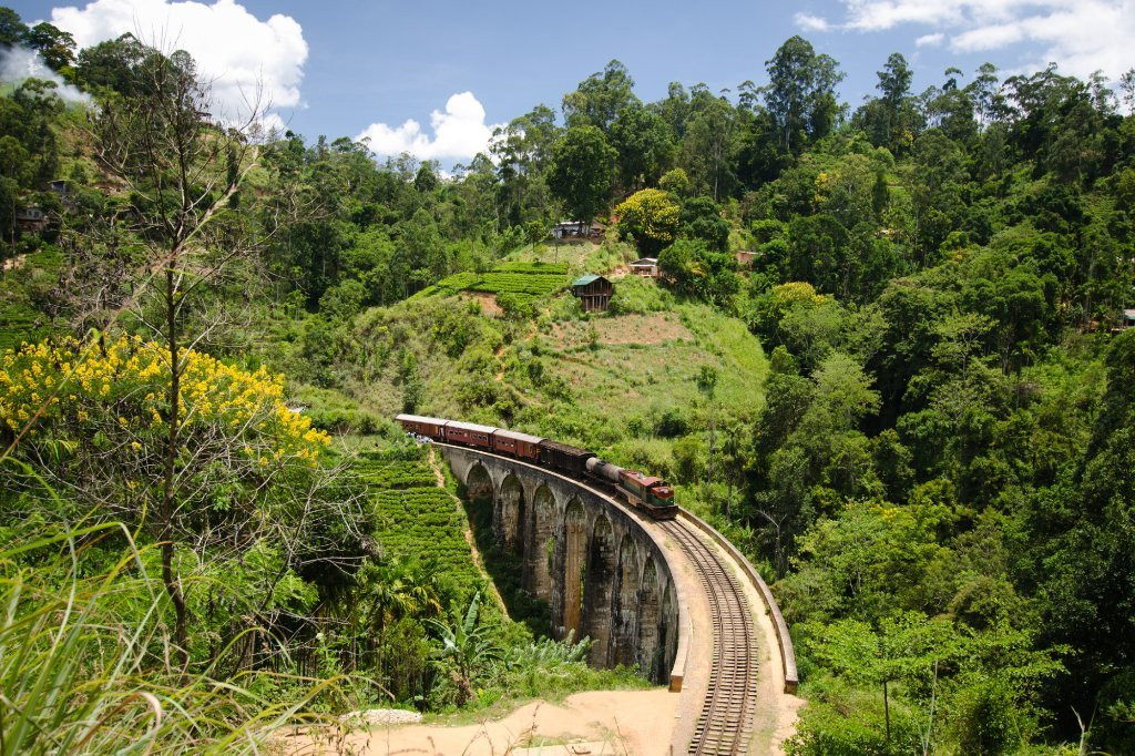 Ceylon Walkers景点图片