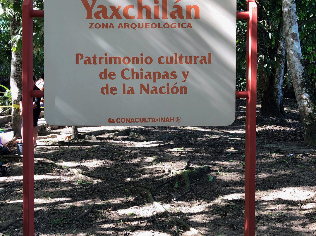 Zona Arqueológica de Yaxchilán景点图片