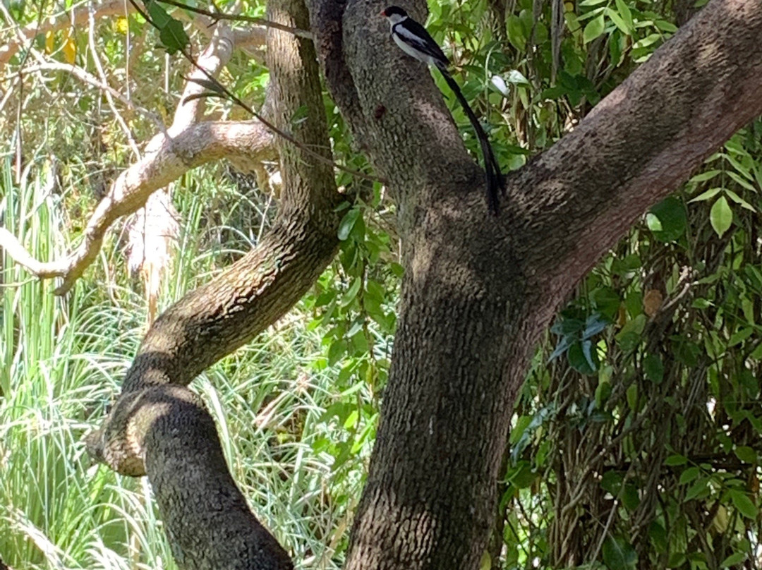 Kingfisher Country House主图