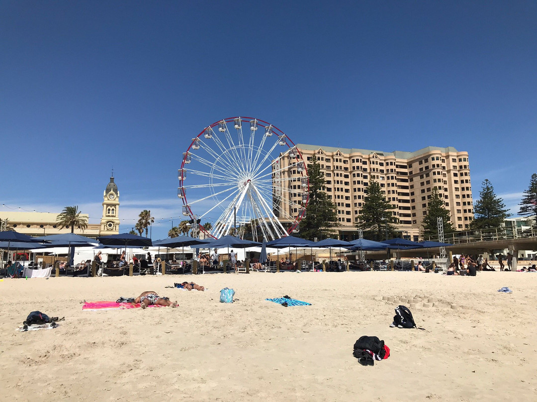 The Moseley Beach Club景点图片