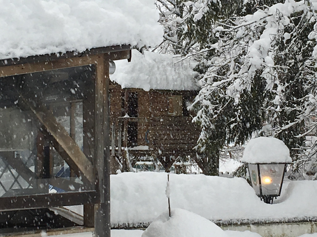 Hotel Jäger Von Fall主图