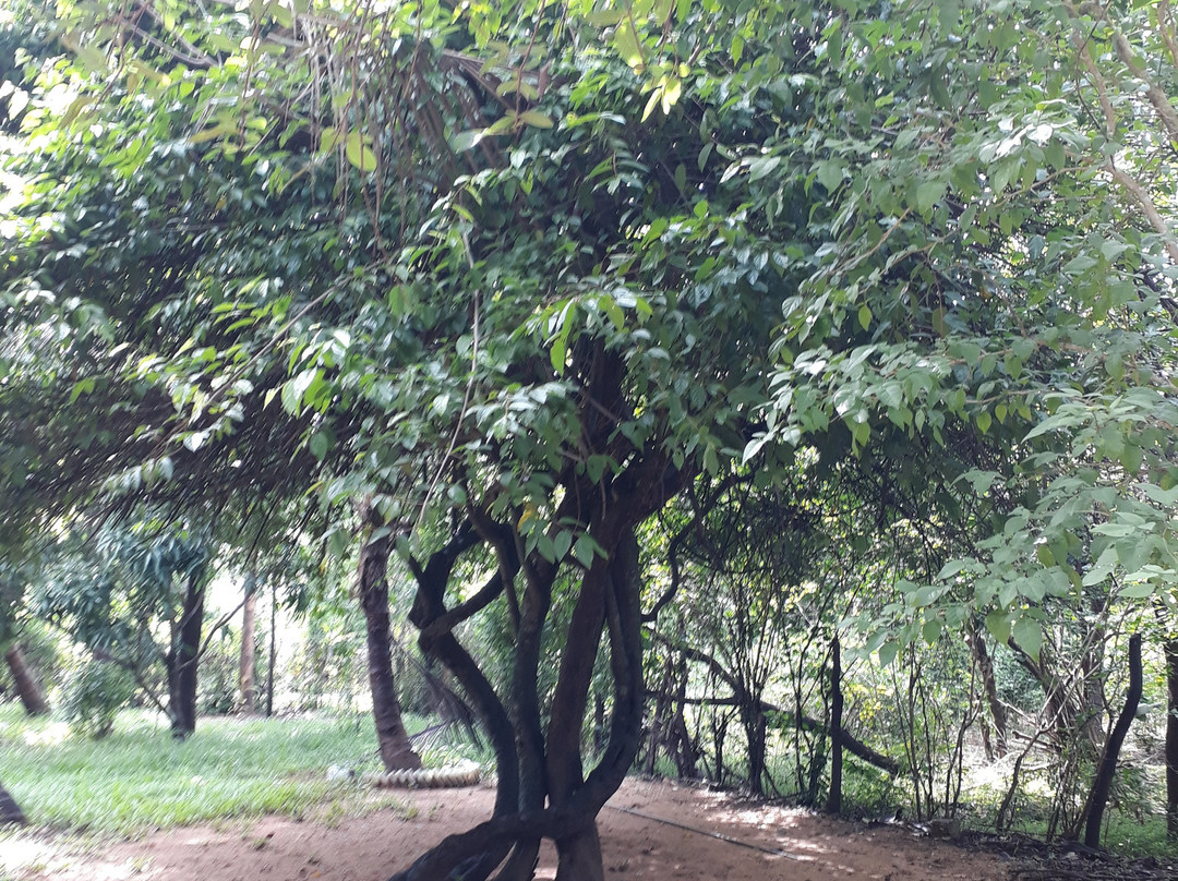 Sunitha Guest House & Hotel主图