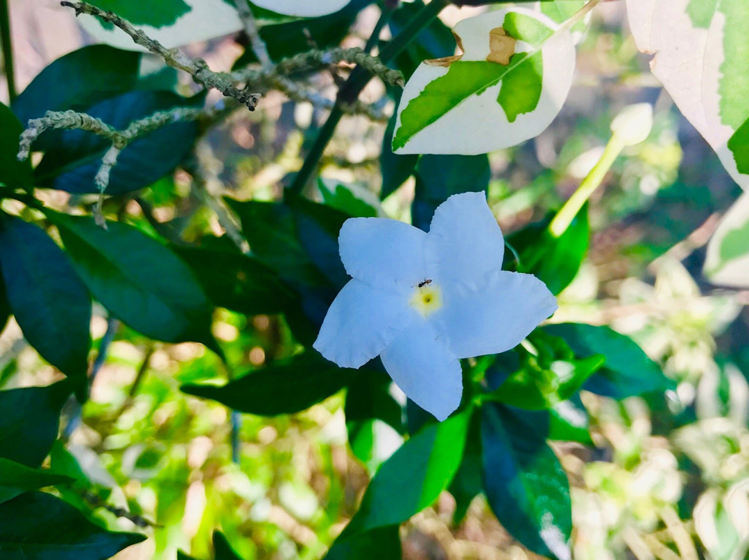 Tinara River Inn主图