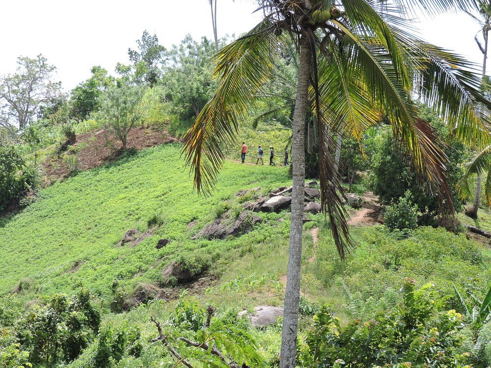 Emandy Adventures-阿鲁沙必去景点