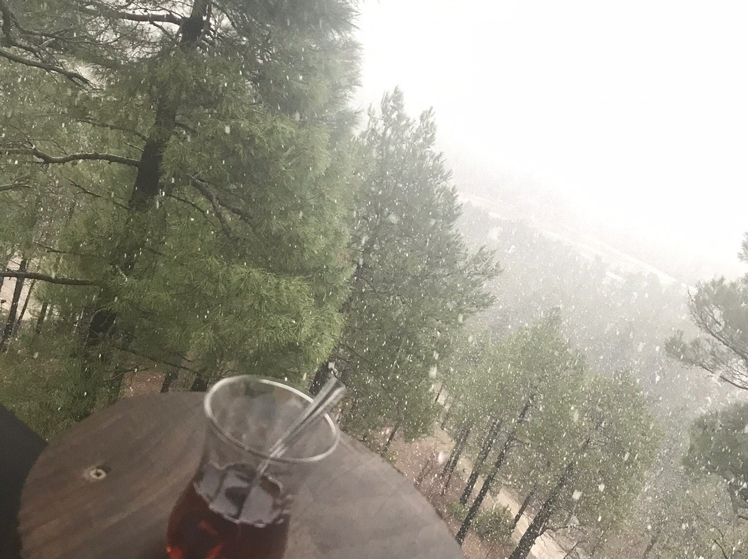 Aladag Kocagoz Otel主图