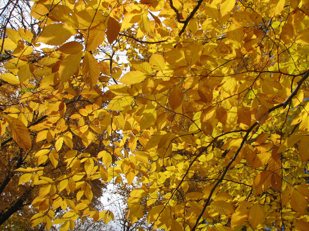 Blandford Nature Center-大急流市必去景点