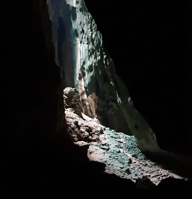Dark Cave Malaysia景点图片