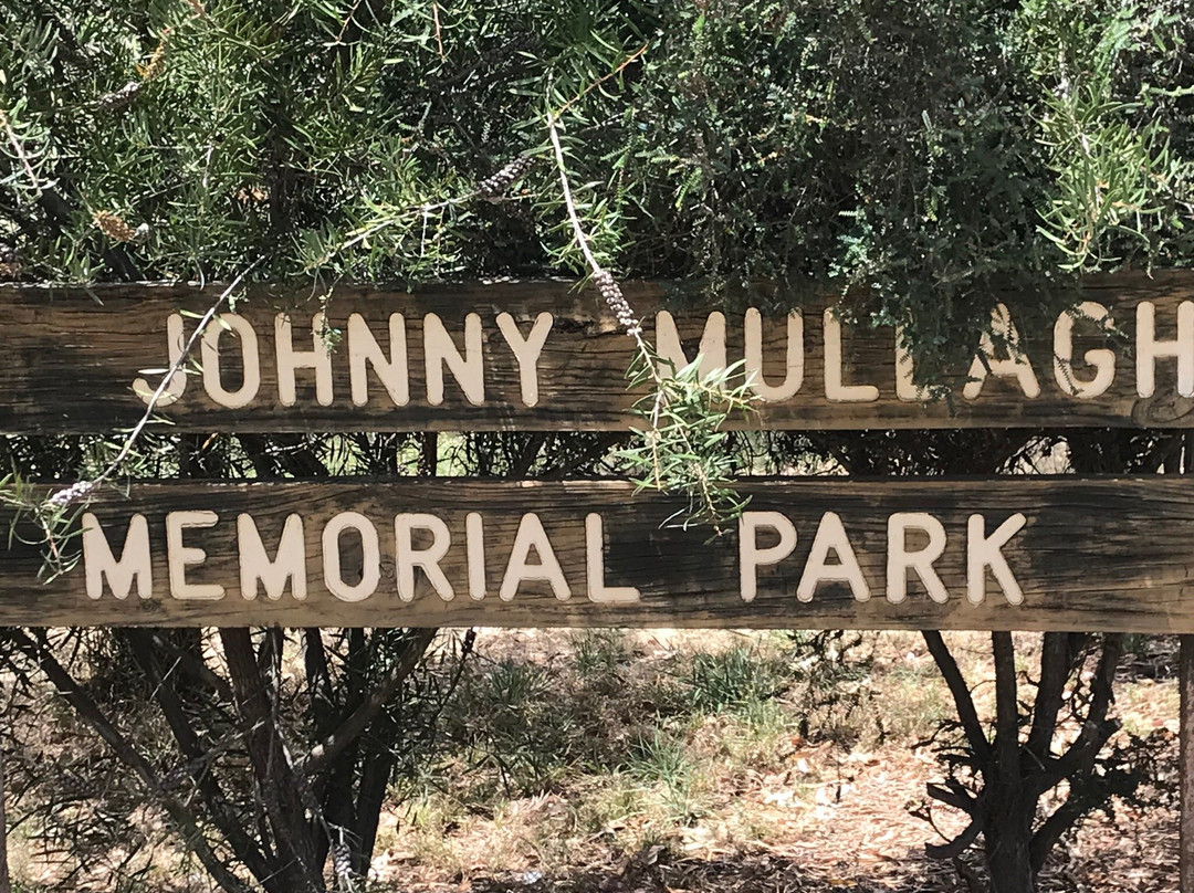 Johnny Mullagh Park景点图片