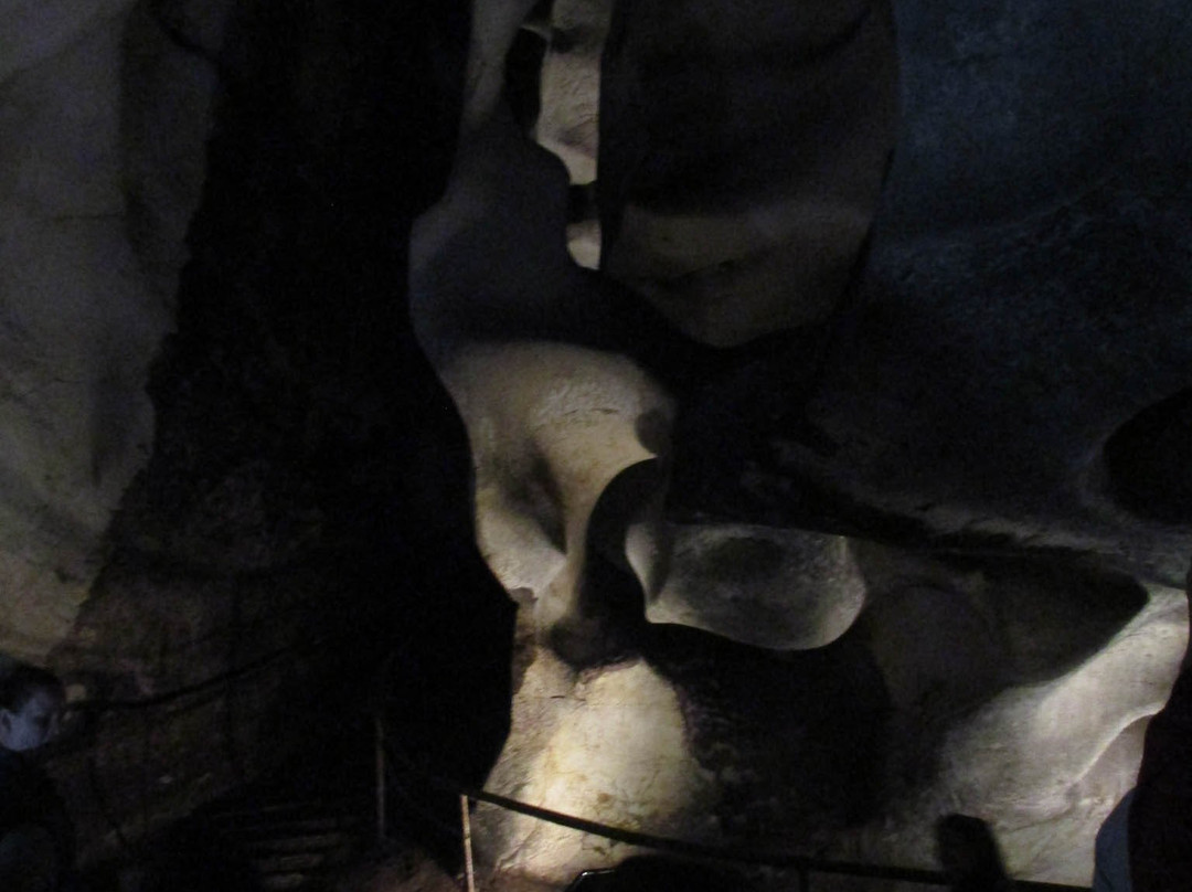 The Magura Cave景点图片