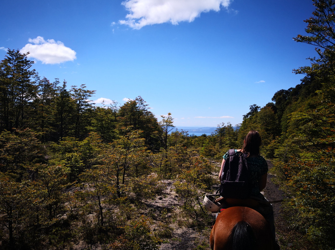 Cabalgatas Don German-普孔必去景点