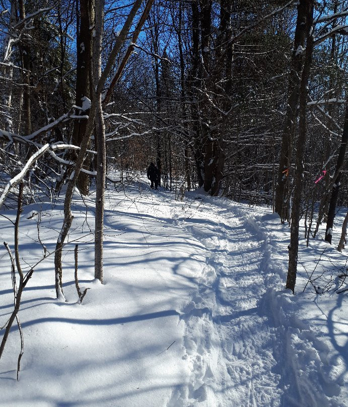 Ski Montagne Coupée-Saint-Jean-de-Matha必去景点
