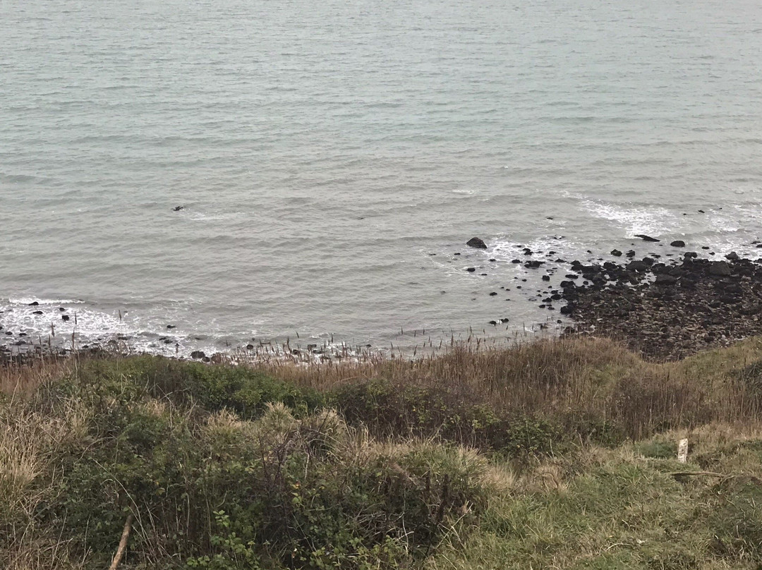 The Bonchurch Inn-文特诺必去景点