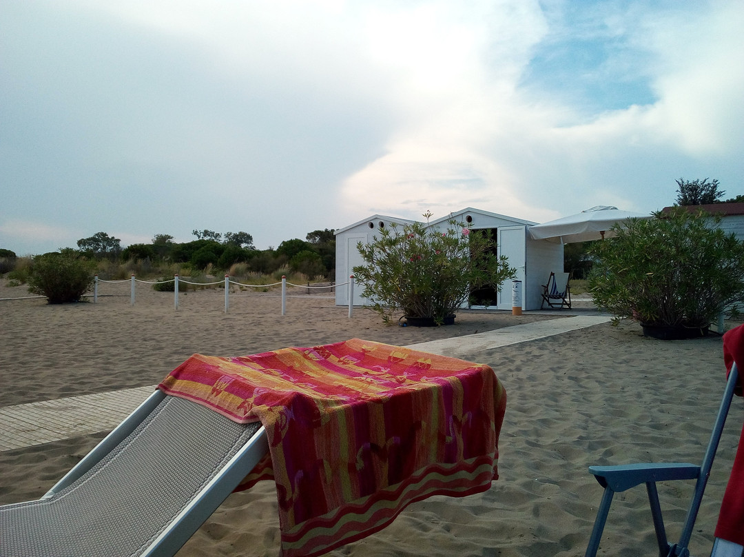 Spiaggia di Ca' Ballarin-卡瓦利诺-特雷波尔蒂必去景点