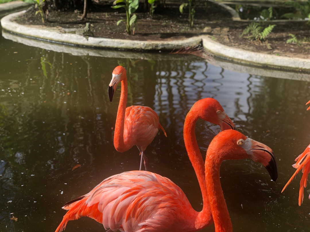 Iberostar Waves Cozumel主图