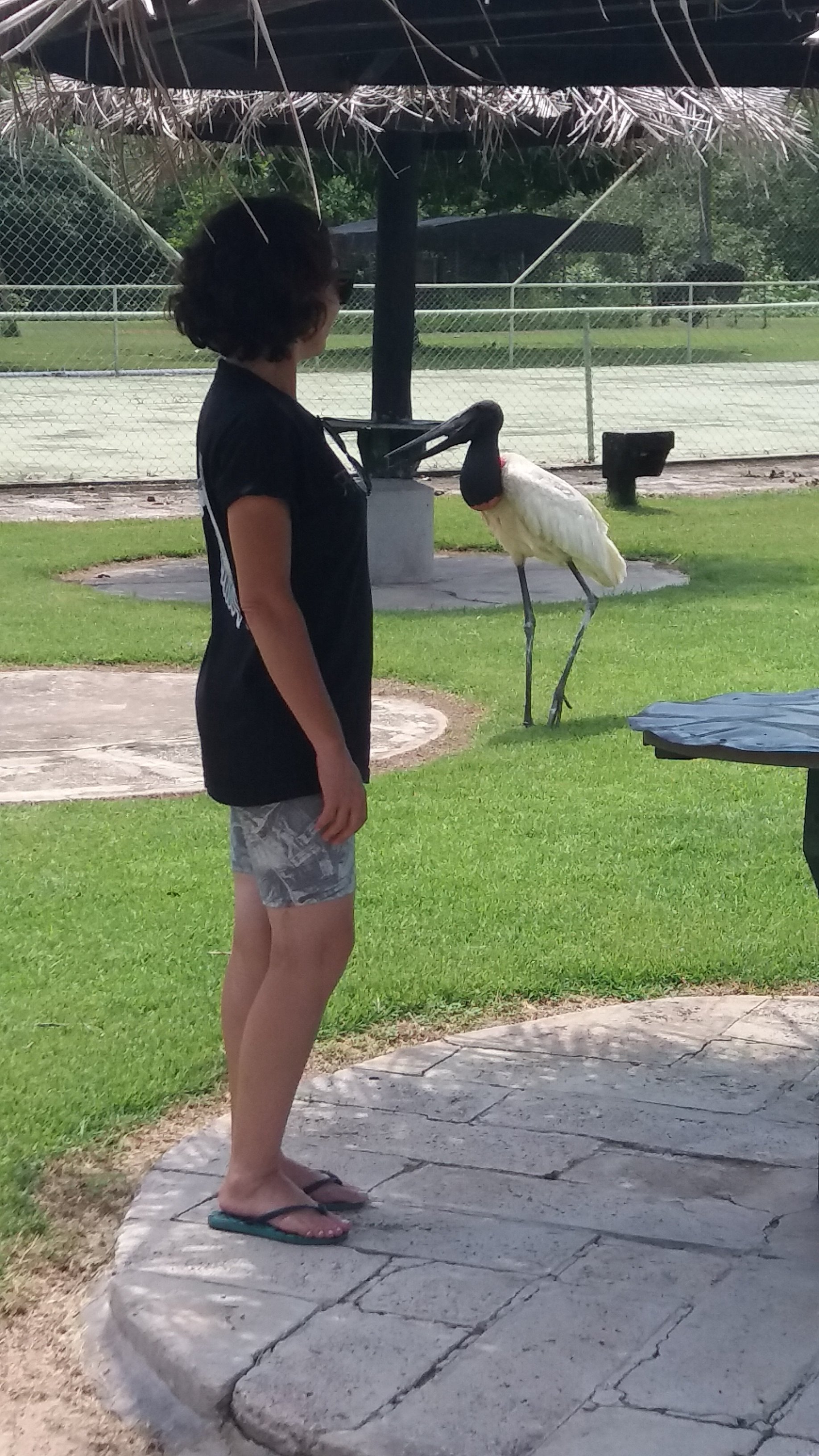 Pantanal Park Hotel-泳池
