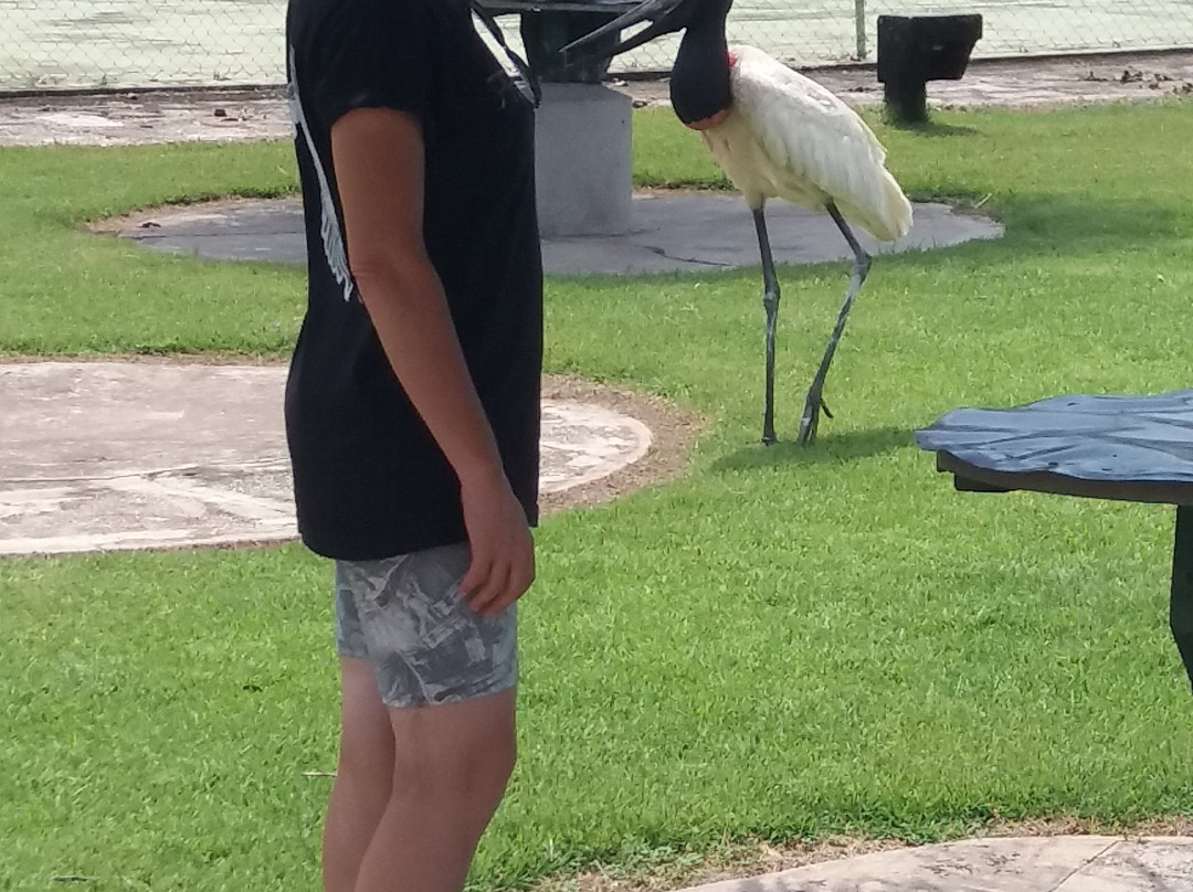 Pantanal Park Hotel主图