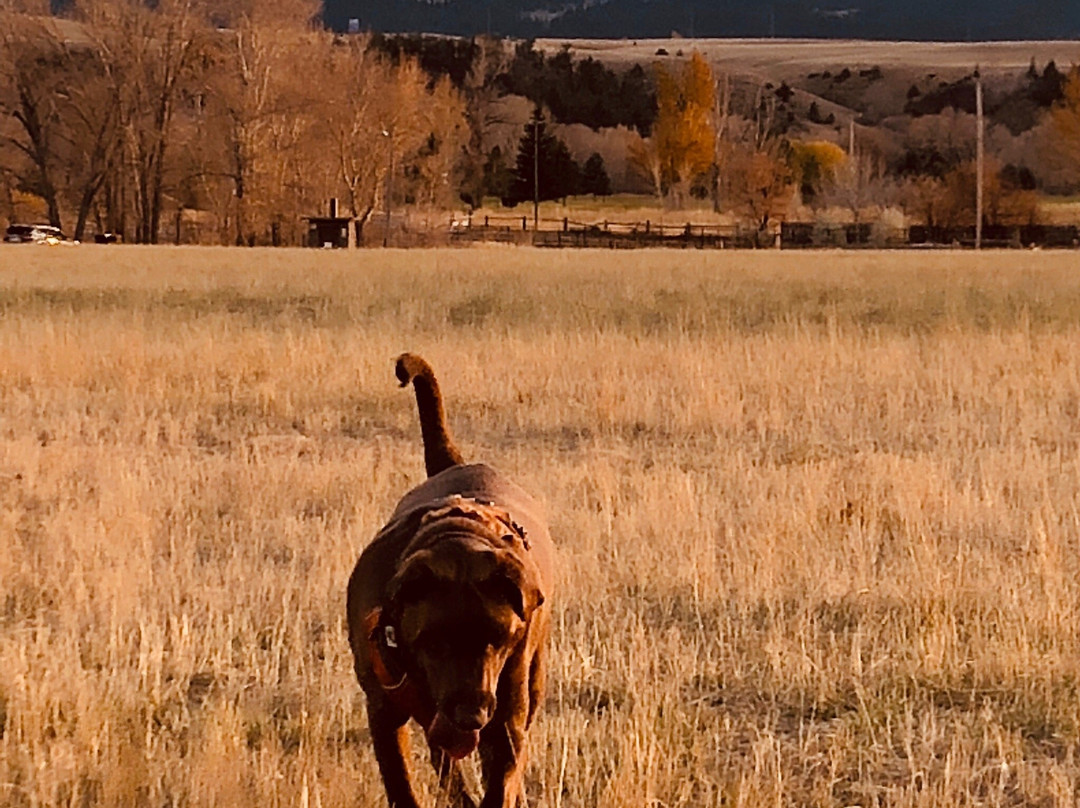 Mayor's Landing-利文斯顿必去景点