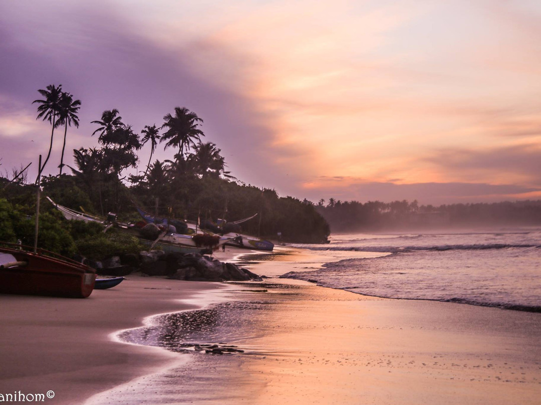 Weligama Surf Center景点图片