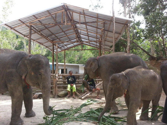 1967-汉密尔顿必去景点
