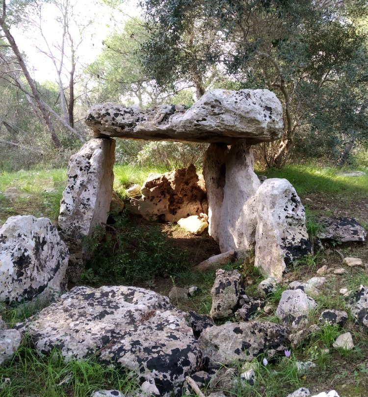 Dolmen di San Giovanni-Statte必去景点