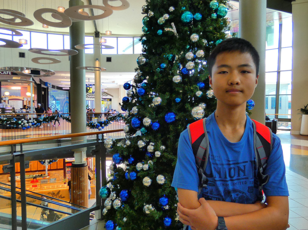 Hoyts Botany Downs-奥克兰中心地区必去景点